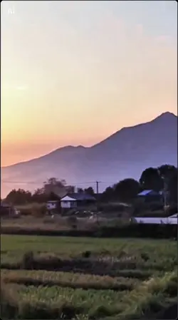 内枦保住建