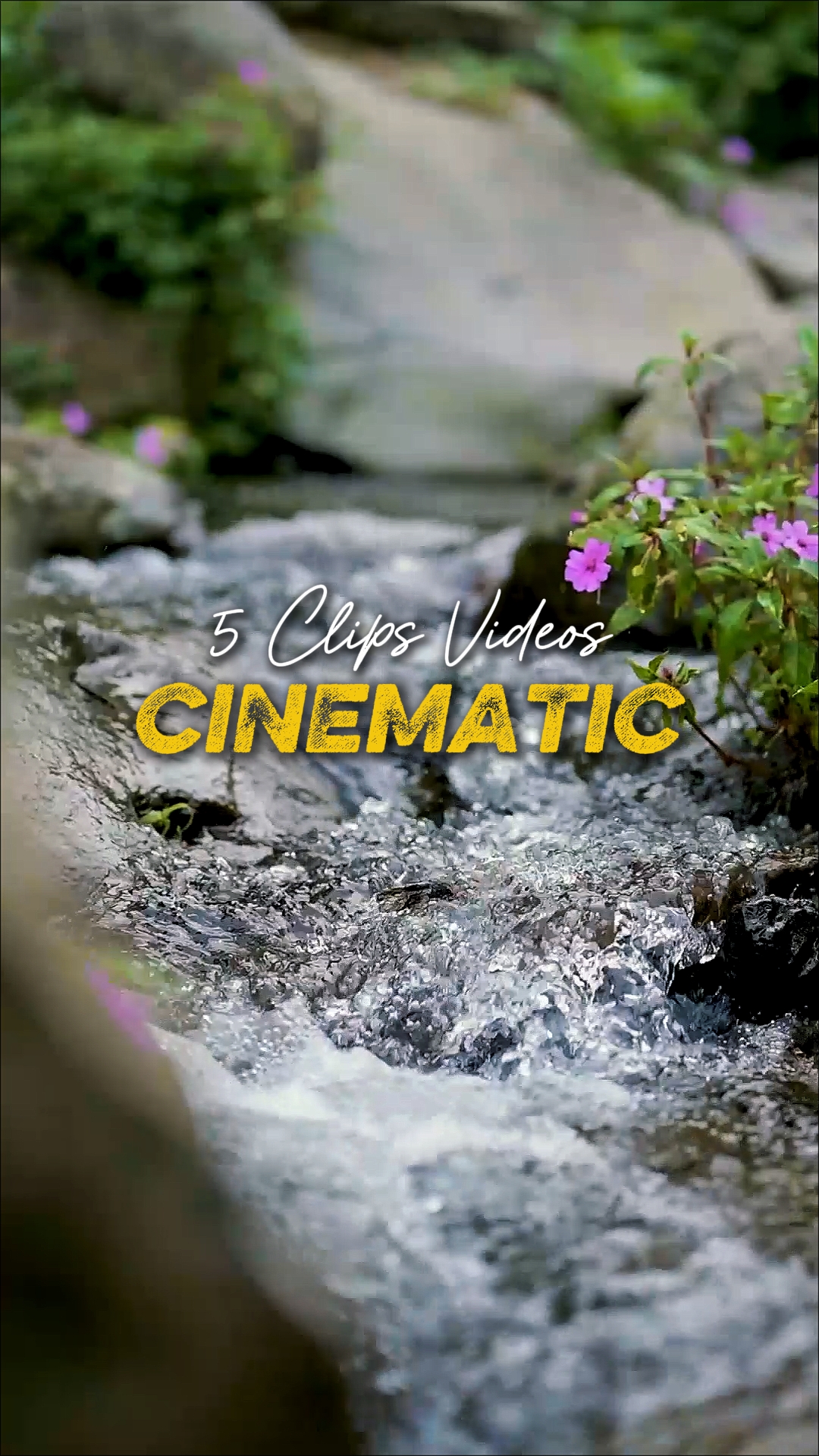 Cinematic 6 Vídeos