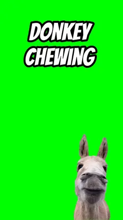 Chewing Donkey 