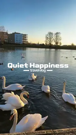 queit happiness