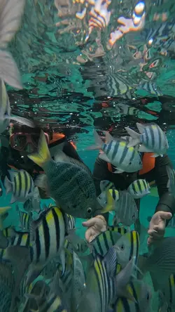 Underwater Activity