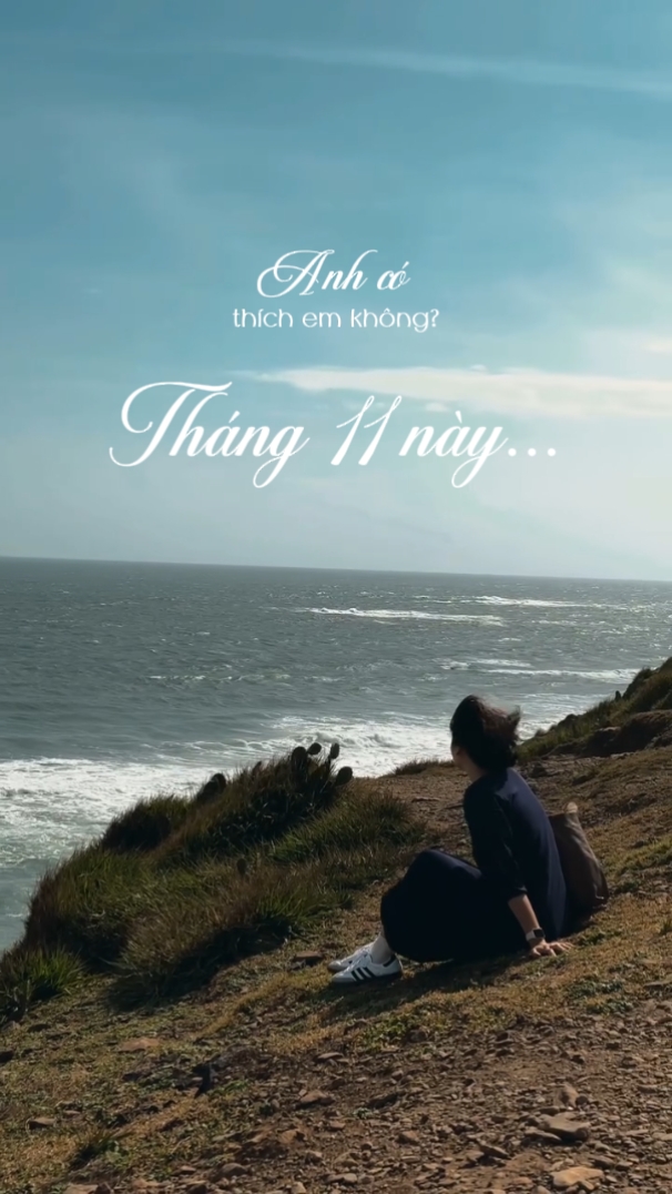 Tháng 11 Này...