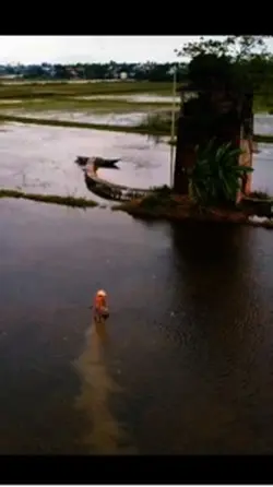 Áo sờn vai
