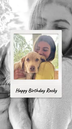 Birthday dog