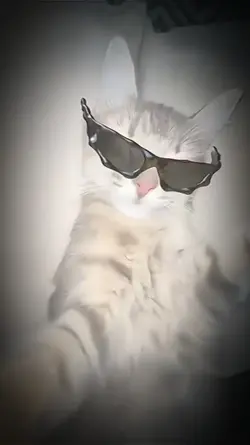 oi