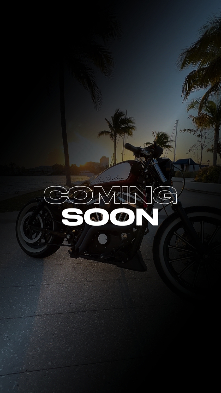 Segera hadir