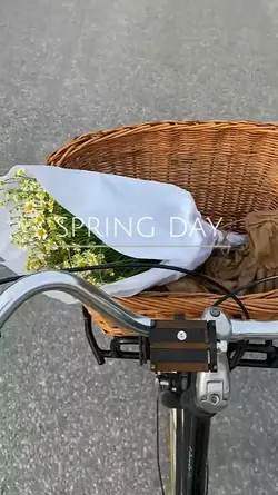 Spring Day