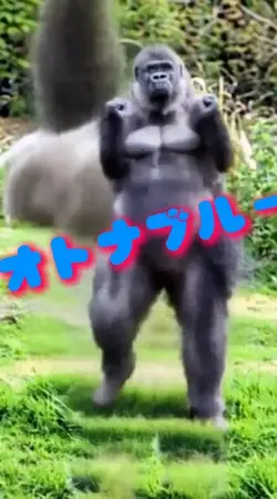 オトナブルー 写真1枚