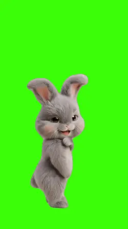 Rabbit/Coelho.