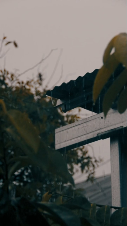 cinematic vlog