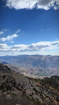 yeni şablon