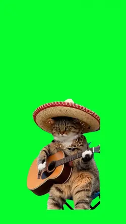 kitten play a guitar