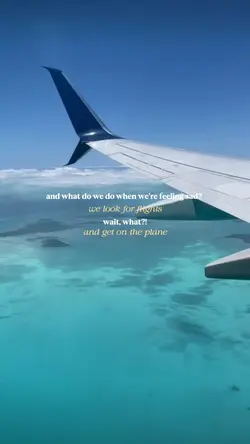 we look for flights