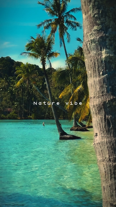 nature vibe