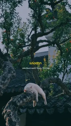 แค่อยากจะนอน