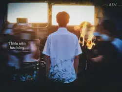 Thiếu niên hoa hồng