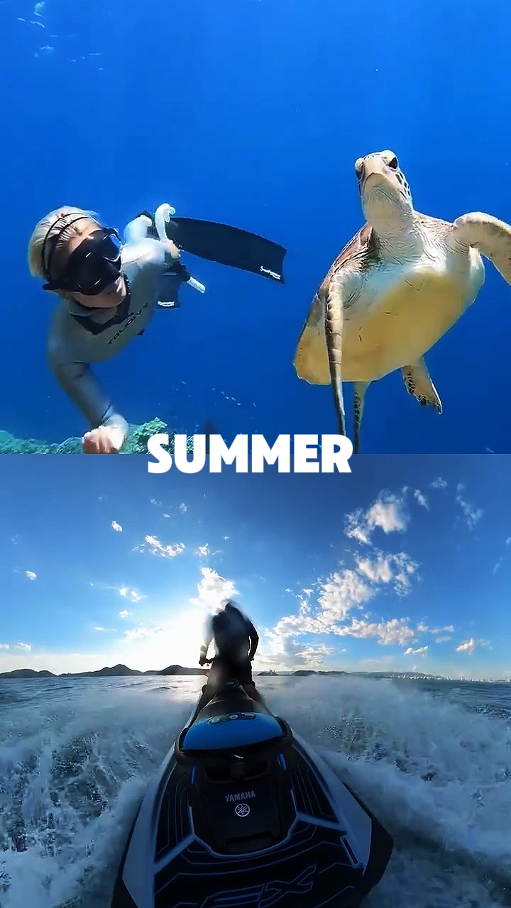 Summer Season 