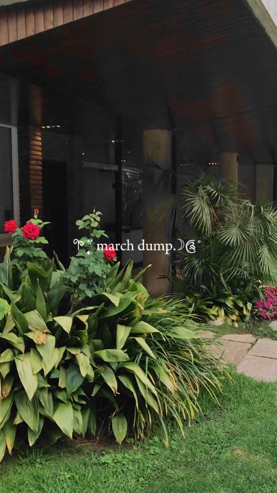 march dump  110 klip