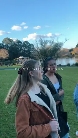 picnic with friends