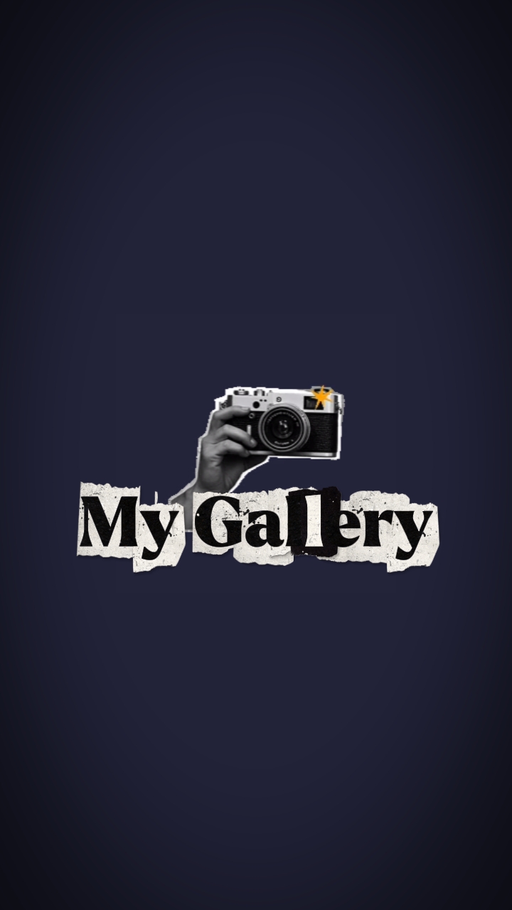 Minha Galeria