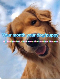Your month your dog