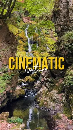 CINEMATIC NATURE