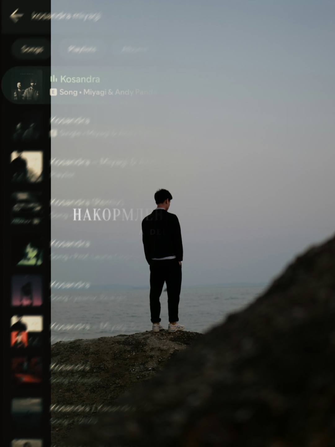 Cover Picture