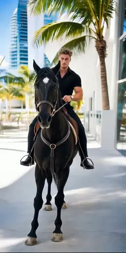 Black horse