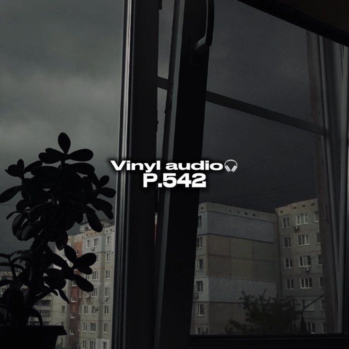 Áudio de vinil p.542🎧