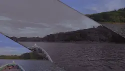 cinematic landscape 
