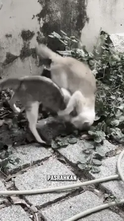 ya Allah kupasrahkan