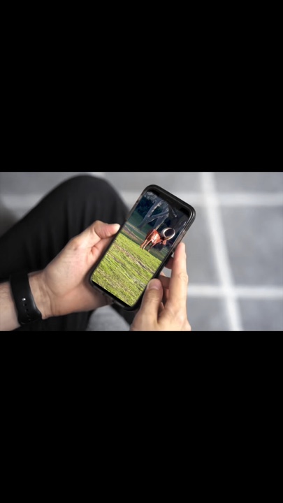 Zoo