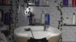 Shampoo Bundles