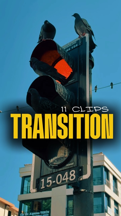 11 CLIPS TRANSITION