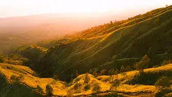 Green screen 