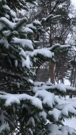 snow day