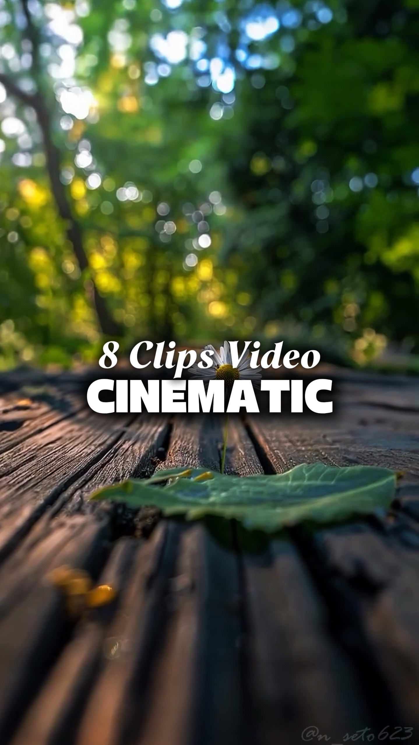 8 Videos Cinemáticos 