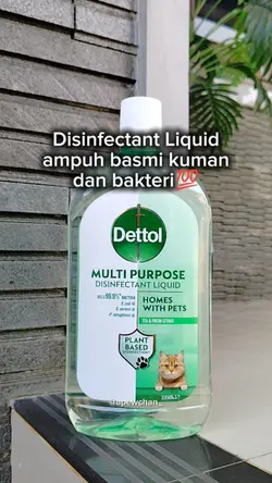 Dettol hijau