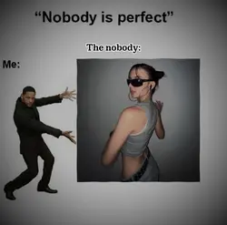 nobody is perfect 