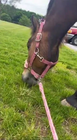 This feeling is amaz