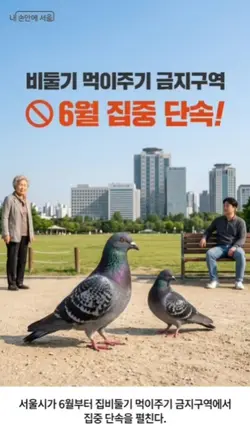 비둘기 밥 주면 이제 진짜 과태료!