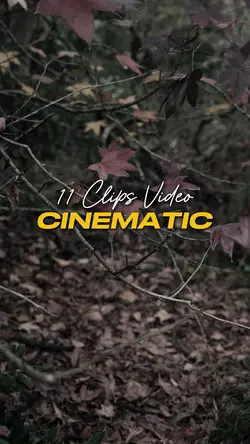 Cinematic 11 Video
