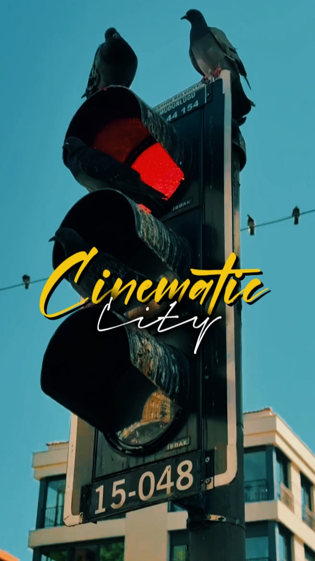 5 CLIPS CINÉMATIQUES 