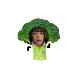 브로콜리송