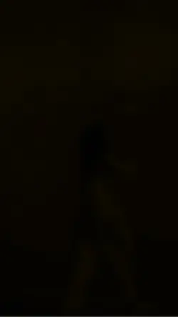 دیوانےآنونشاتیری دید