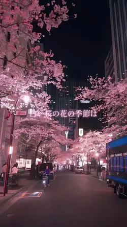 🌸桜の季節