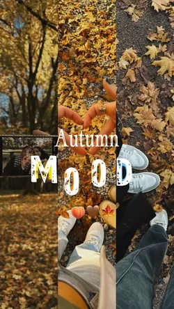 Autumn mood