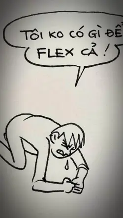 tôi ko có gì để flex