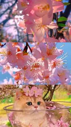 Spring is coming