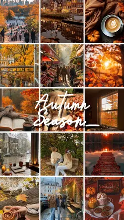Autumn Season 🍂